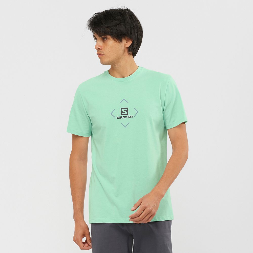 Salomon Singapore Mens T-shirts - SALOMON COTTON M Mint | 08321-LWNP